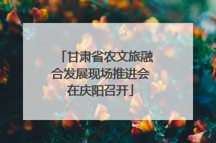 甘肃省农文旅融合发展现场推进会在庆阳召开