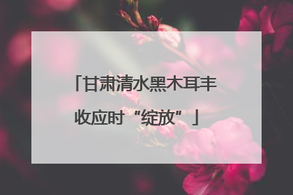甘肃清水黑木耳丰收应时“绽放”