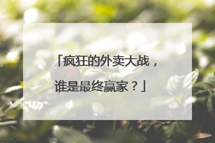 疯狂的外卖大战，谁是最终赢家？