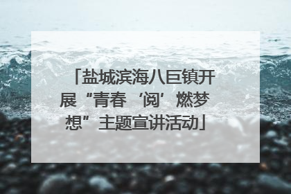 盐城滨海八巨镇开展“青春‘阅’燃梦想”主题宣讲活动