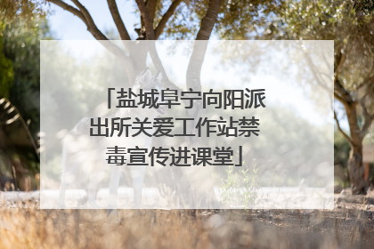盐城阜宁向阳派出所关爱工作站禁毒宣传进课堂