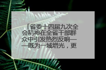 省委十四届九次全会精神在全省干部群众中引发热烈反响——既为一域增光，更为全局添彩