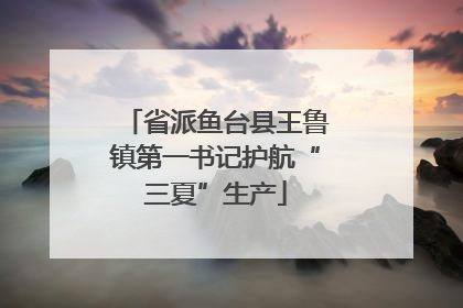 省派鱼台县王鲁镇第一书记护航“三夏”生产