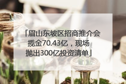 眉山东坡区招商推介会揽金70.43亿，现场抛出300亿投资清单