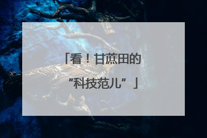 看！甘蔗田的“科技范儿”
