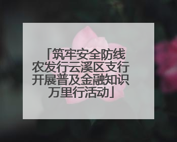 筑牢安全防线 农发行云溪区支行开展普及金融知识万里行活动