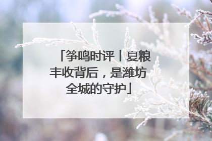 筝鸣时评丨夏粮丰收背后，是潍坊全城的守护