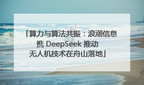 算力与算法共振：浪潮信息携 DeepSeek 推动无人机技术在舟山落地