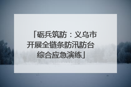 砺兵筑防：义乌市开展全链条防汛防台综合应急演练