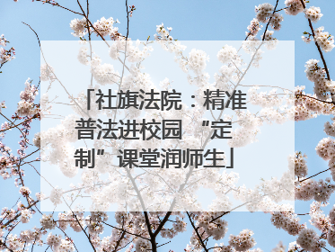 社旗法院：精准普法进校园 “定制”课堂润师生