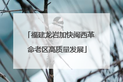 福建龙岩加快闽西革命老区高质量发展