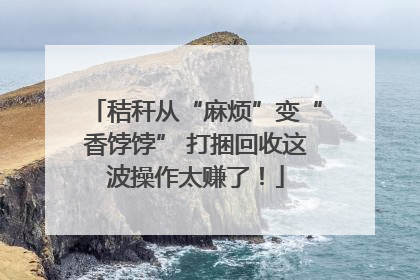 秸秆从“麻烦”变“香饽饽” 打捆回收这波操作太赚了！