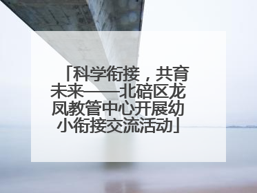 科学衔接，共育未来——北碚区龙凤教管中心开展幼小衔接交流活动