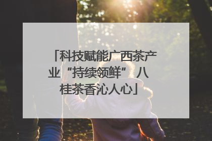 科技赋能广西茶产业“持续领鲜” 八桂茶香沁人心