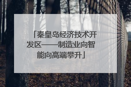 秦皇岛经济技术开发区——制造业向智能向高端攀升