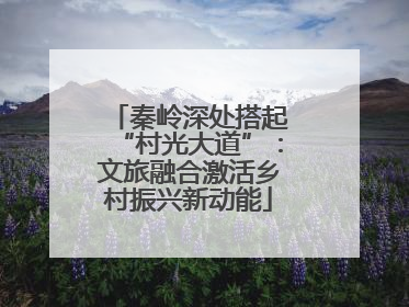 秦岭深处搭起“村光大道”：文旅融合激活乡村振兴新动能