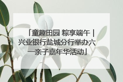 童趣田园 粽享端午｜兴业银行盐城分行举办六一亲子嘉年华活动