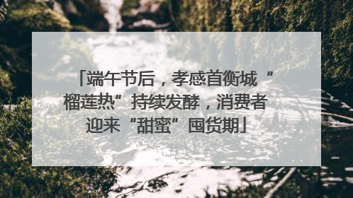 端午节后，孝感首衡城“榴莲热”持续发酵，消费者迎来“甜蜜”囤货期