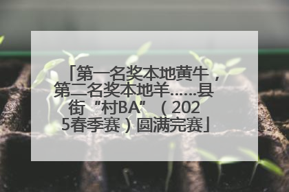 第一名奖本地黄牛，第二名奖本地羊……县街“村BA”（2025春季赛）圆满完赛
