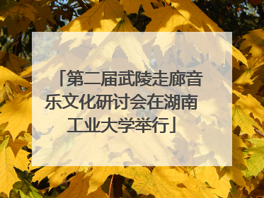 第二届武陵走廊音乐文化研讨会在湖南工业大学举行