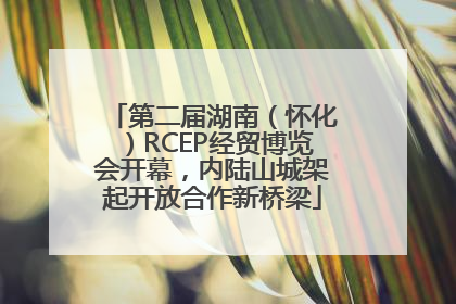 第二届湖南（怀化）RCEP经贸博览会开幕，内陆山城架起开放合作新桥梁