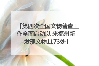 第四次全国文物普查工作全面启动以 来福州新发现文物1173处