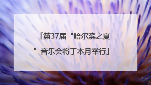 第37届“哈尔滨之夏”音乐会将于本月举行