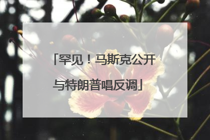 罕见！马斯克公开与特朗普唱反调