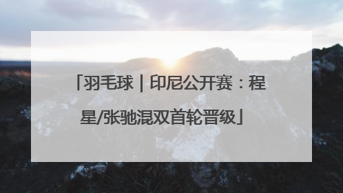 羽毛球｜印尼公开赛：程星/张驰混双首轮晋级
