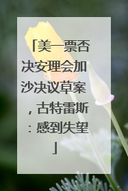 美一票否决安理会加沙决议草案，古特雷斯：感到失望