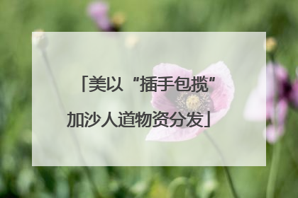 美以“插手包揽”加沙人道物资分发