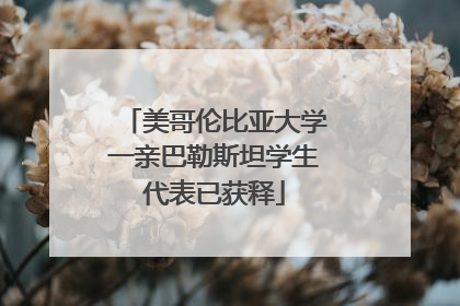 美哥伦比亚大学一亲巴勒斯坦学生代表已获释