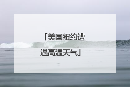 美国纽约遭遇高温天气