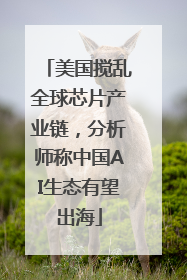 美国搅乱全球芯片产业链，分析师称中国AI生态有望出海