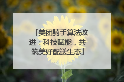 美团骑手算法改进：科技赋能，共筑美好配送生态