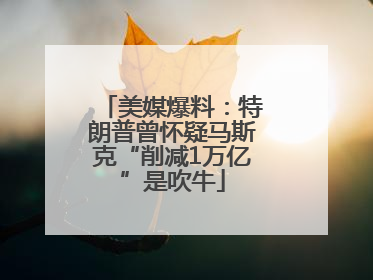 美媒爆料：特朗普曾怀疑马斯克“削减1万亿”是吹牛