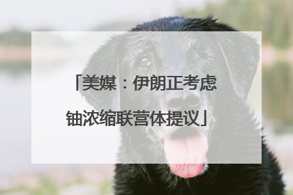 美媒：伊朗正考虑铀浓缩联营体提议