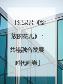纪录片《绽放的花儿》：共绘融合发展时代画卷