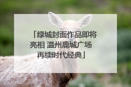 绿城封面作品即将亮相 温州鹿城广场再续时代经典