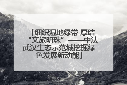 细织湿地绿带 厚结“文旅明珠”——中法武汉生态示范城挖掘绿色发展新动能