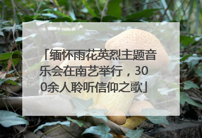 缅怀雨花英烈主题音乐会在南艺举行，300余人聆听信仰之歌