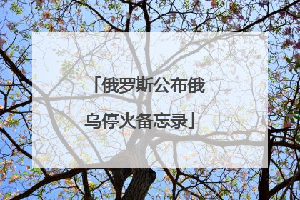 俄罗斯公布俄乌停火备忘录