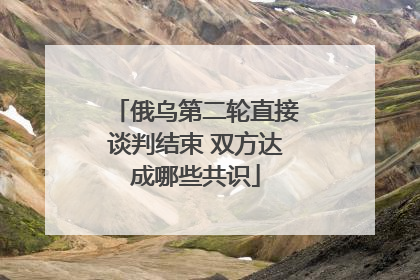 俄乌第二轮直接谈判结束 双方达成哪些共识