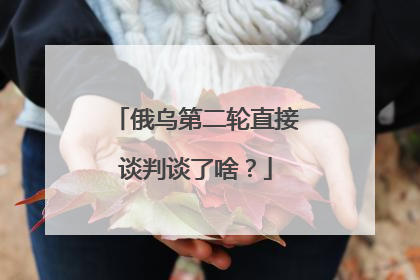 俄乌第二轮直接谈判谈了啥？