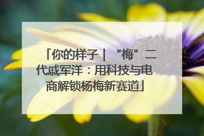 你的样子｜“梅”二代戚军洋：用科技与电商解锁杨梅新赛道