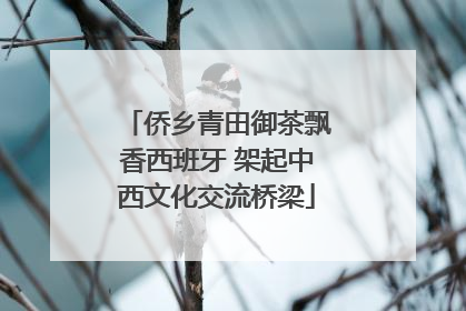 侨乡青田御茶飘香西班牙 架起中西文化交流桥梁