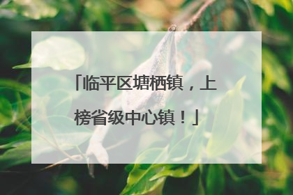 临平区塘栖镇，上榜省级中心镇！