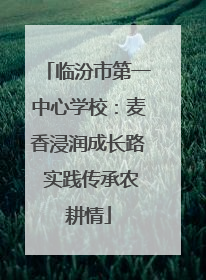 临汾市第一中心学校：麦香浸润成长路 实践传承农耕情