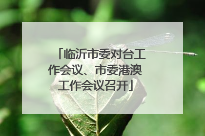 临沂市委对台工作会议、市委港澳工作会议召开
