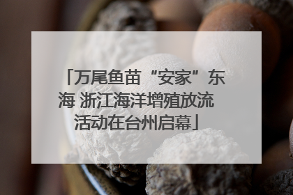 万尾鱼苗“安家”东海 浙江海洋增殖放流活动在台州启幕